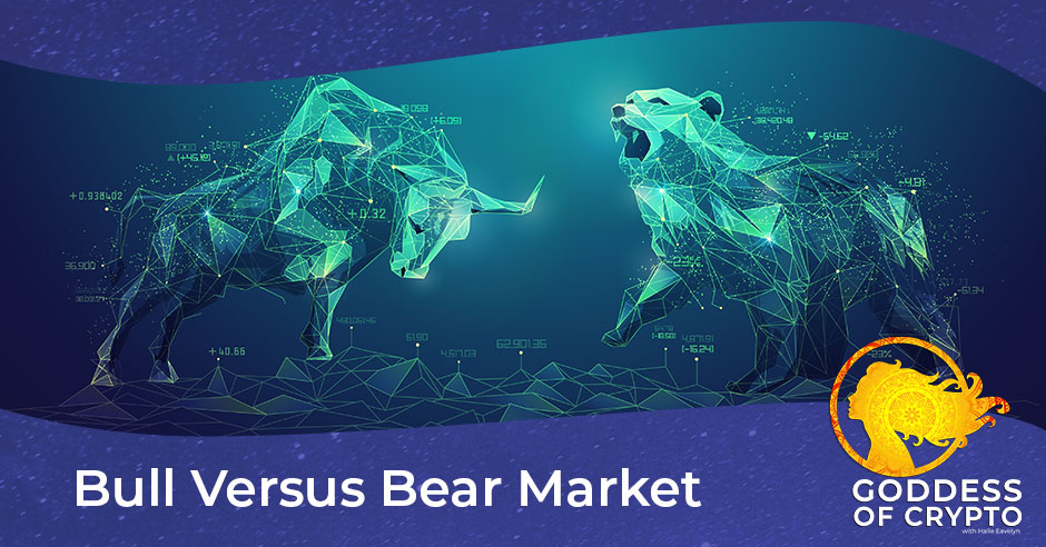 YGA 13 | Bear Market