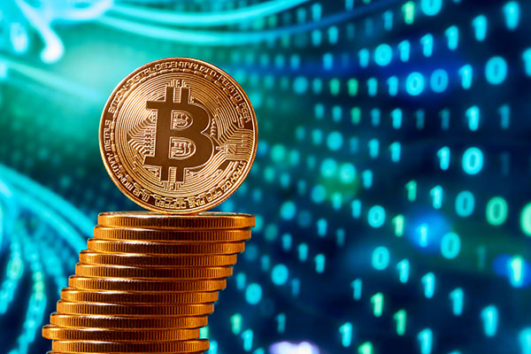 YGA Holly | King Of Cryptocurrencies