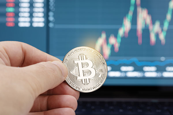 YGA Holly | King Of Cryptocurrencies