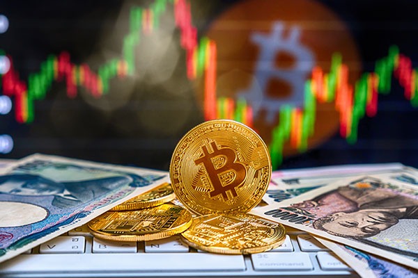 YGA Holly | King Of Cryptocurrencies