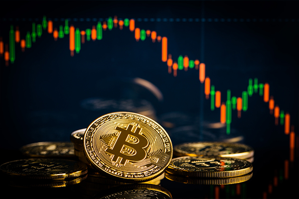 YGA 11 Eryka | Cryptocurrency